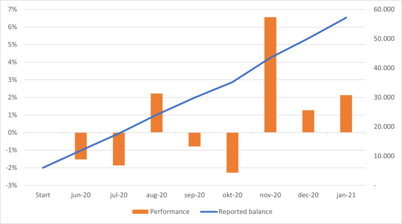 Dollar Cost Averaging (Vokseværk) Januar 2021